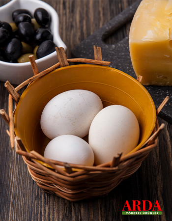 Serdar Arda - hizmetlerimiz - 01